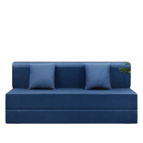 Sofa cum Bed D9